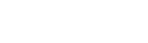 豊洲の新鮮な魚